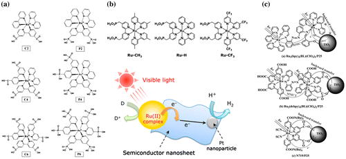 Figure 4. Ruthenium complexes for dye-sensitized photocatalytic hydrogen production. (a) Ruthenium complexes with multiple anchoring groups. Reprinted with permission from Ref. [Citation56]. Copyright 2006 American Chemical Society. (b) Hybrids of a ruthenium(II) polypyridyl complex and a metal oxide nanosheet for hydrogen production. Reprinted with permission from Ref. [Citation58]. Copyright 2015 American Chemical Society. (c) Di-nuclear ruthenium-complex systems for effective dye-sensitized photocatalytic hydrogen production. Reprinted with permission from Ref. [Citation63]. Copyright 2012 John Wiley & Sons.