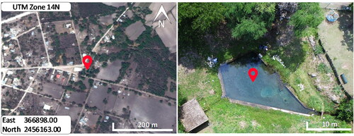 Figure 1. The general location of the study area is shown in the first box of the image, it is a pond fed by a spring submerged in the bottom. The second box on the right shows an aerial view of the pond in more detail from an image taken from the UAV.