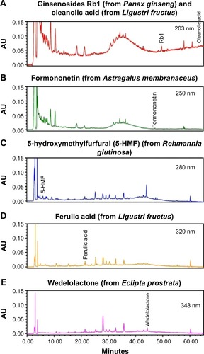 Figure 1 Chromatographic fingerprint analysis for the Chinese herbal formula B401.