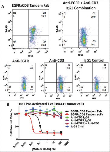 Figure 6. (A) Flow cytometry histograms of the population of dead EGFR + A431 tumor cells (quadrant 2, Q2) after a 12 hour incubation in the presence of 100 nM of each article, mAb or BsAb, using a 15:1 E:T cell ratio. (B) Redirected tumor cell lysis activity after a 5 hour incubation of A431 tumor cells with pre-activated T cells (1:10 ratio) monitored with a cell viability assay. The BsAb curves were fit to a standard 4 parameter sigmoidal equation described in the methods.