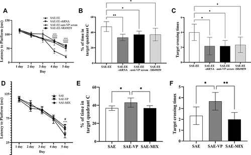 Figure 4 (A) The rats in the SAE-EE-anti-VP serum, SAE-EE-shRNA, or SAE-EE-SR49059 groups had a longer latency to platform than the rats in the SAE-EE group (from day 3 to day 5). SAE-EE vs SAE-EE-anti-VP serum: #p < 0.05, ####p < 0.0001; SAE-EE vs SAE-EE-shRNA:***p<0.001; SAE-EE vs SAE-EE-SR49059: aaaap < 0.0001. (B) The rats in the SAE-EE group spent more time in target quadrant C compared with the rats in the SAE-EE-anti-VP serum, SAE-EE-shRNA or SAE-EE-SR49059 groups. *p < 0.05,**p < 0.01. (C) The rats in the SAE-EE group had more target crossing times when compared with the rats in the SAE-EE-anti-VP serum, SAE-EE-shRNA or SAE-EE-SR49059 groups. *p < 0.05. (D) At day 5, the rats in the SAE and SAE-MIX group had a longer latency to the platform than the rats in the SAE-VP group. SAE vs SAE-VP: ***p < 0.001; SAE-VP vs SAE-MIX: #p < 0.05. (E) The rats in the SAE-VP group spent more time in target quadrant C compared with the rats in the SAE or SAE-MIX group. *p < 0.05. (F) The rats in the SAE-VP group had more target crossing times when compared with the rats in the SAE or SAE-MIX group. *p < 0.05,**p < 0.01. Data represent the means ± standard error of the mean.