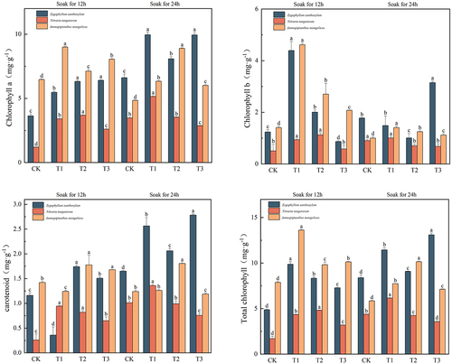 Figure 5. Changes in chlorophyll a, chlorophyll b, carotenoids, and total chlorophyll content of three desert plants at different times of IAA immersion and exogenous melatonin treatment.