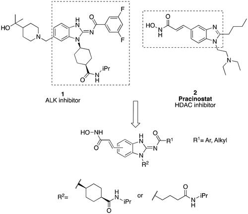 Figure 2. Design of benzimidazole dual ALK/HDAC inhibitors. The dashed boxes in the lead compounds indicated the preserved pharmacophore structure.