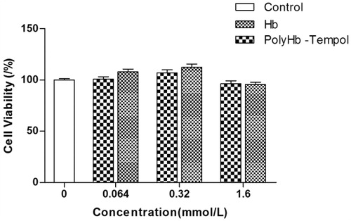 Figure 7. Toxicity of PolyHb-Tempol and Hb. Endothelial cell viability was assessed using an MTT assay. Data is mean ± SD of five independent experiments. No significant difference (at p < .05) was seen between PolyHb-Tempol, Hb and control group (untreated cells).