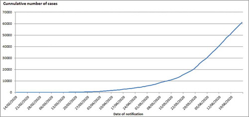 Figure 1. Daily cumulative number of COVID 19 cases in Egypt