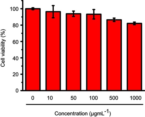 Figure 8 The effect of MSN-SC6A on cell viability. Cell viability was determined using the MTT method. The concentration of MSN-SC6A was in the range from 0 μg· mL−1 to 1000 μg· mL−1 (mean ± SD, n=3 for each concentration).Abbreviations: MSN-SC6A, MSN conjugated with p-sulfonatocalix[6]arene; MTT, (3-(4,5-dimethylthiazol-2-yl)-2,5-diphenyltetrazolium bromide.