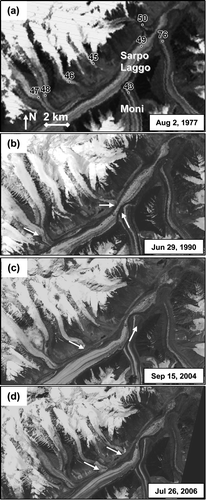 FIGURE 4 Temporal sequence of surges of tributaries of the Sarpo Laggo Glacier. Numbers refer to Table 1; satellite image details provided in Table 2. Arrows indicate the occurrence of surges. Note that Glacier 45 has surged twice.