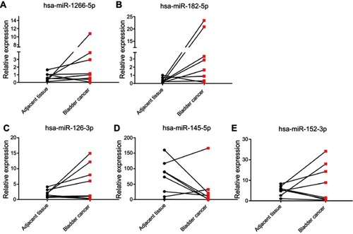 Figure 5 Validation of up-regulated [miR-1266-5p (A) and miR-182-5p (B)] and down-regulated [miR-145-5p (C), miR-126-3p (D), and miR-152-3p (E)] miRNAs by qRT-PCR.