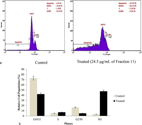 Figure 6. Effects of NCE on cell cycle distribution. Representative results (a) and histograms (b). SK-BR3 human breast cancer cells were treated with 24.5 μmol/L NCE for 24 h and then harvested and stained with PI, and analyzed using flow cytometry.