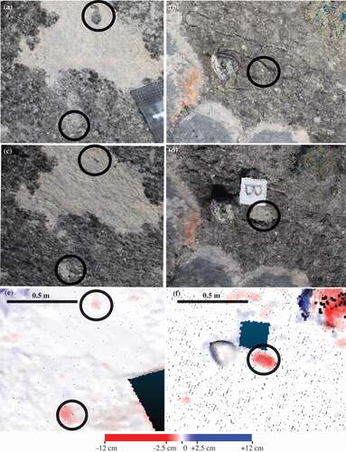 Figure 7. Examples of biological soil crust change from SLSCARP9 (A, C, E) and SLSCARP10 (B, D, F). From top to bottom, the rows show (1) the 2014 point clouds, circles highlight areas of interest (A–B); (2) the 2016 point clouds (C–D); and (3) the magnitude of change between the 2014 and 2016 point clouds (E–F)