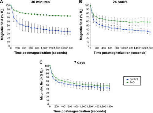 Figure 3 Magnetometric evaluations of Kupffer cells.Notes: At (A) 30 minutes, (B) 24 hours, and (C) 7 days postinjection of ZnO engineered nanoparticles. rats were intravenously injected with 5 mg/kg each of ZnO engineered nanoparticles and Fe2O3 tracer nanoparticles. At each time point, magnetometric measurements were collected for 30 minutes. Significant slowing in relaxation was observed at 30 minutes and 24 hours compared to control animals (Fe2O3 only; student’s t-test was used to evaluate the B30/B0). At 7 days, relaxation returned to normal when there was a 25% reduction in 65Zn retained in the liver (n=6, P<0.01).Abbreviation: B0, initial magnetic field strength.