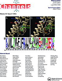 Cover image for Channels, Volume 10, Issue 6, 2016