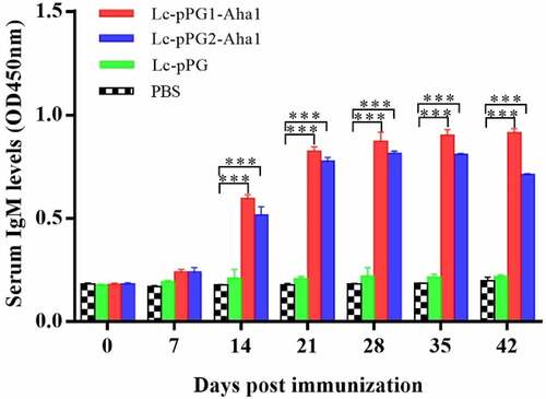 Figure 3. Relative content of the Aha1-specific IgM in serum (n = 5 fish/group) following treatment by Lc-pPG1-Aha1, Lc-pPG2-Aha1, Lc-pPG and PBS. Data are presented as mean SD fold increase relative to PBS control. *: p <0.05, **: p <0.01, ***: p <0.001.