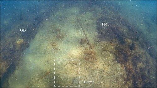 Figure 21. Photo showing outline of barrel just aft of the foremast-step. This would have been the location of the main magazine and filling room. GD – gundeck, FMS – foremast- step (photo by Daniel Pascoe).