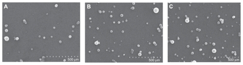 Figure 1 Scanning electron microscopy graphs of PZQ-HCO-SLN (65,000×): (A) Newly prepared SLNs, (B) SLNs stored at 4°C for 4 months; and (C) SLNs stored at room temperature for 4 months.Abbreviations: PZQ-HCO-SLN, praziquantel-loaded hydrogenated castor oil solid lipid nanoparticle suspension; SLN, solid lipid nanoparticle.