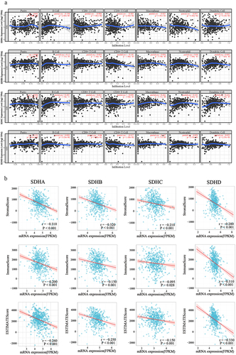 Figure 5. Correlations analysis of SDH genes expression with various immune cell infiltration in ccRCC. (a) The correlation between infiltrating level of six immune cells and SDH genes in ccRCC. (b) The correlation of SDHA, SDHB, SDHC, and SDHD mRNA expression levels with the stromal score, immune score, as well as ESTIMATE score. P < 0.05 was considered statistically significant.