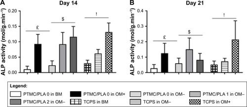 Figure 9 Dexa released from hybrid PTMC/PLA film stimulates ALP activity, early marker of hBMSCs osteogenic differentiation.Notes: ALP activity measured on Days 14 and 21 (A and B respectively, £ reports significance for drug-free PTMC/PLA 0 regarding the nature of the medium, $ reports significance for drug-loaded PTMC/PLA on OM− medium, and ! reports significance for TCPS regarding the nature of the medium). ALP staining on hBMSCs monolayer cultivated on the diverse substrates is shown (for only one donor, but similar staining was obtained for both donors, C).Abbreviations: ALP, alkaline phosphatase; hBMSCs, human bone marrow mesenchymal stem cells; OM, osteogenic media; PLA, poly(lactic acid); PTMC, poly(trimethylene carbonate); TCPS, tissue culture polystyrene.