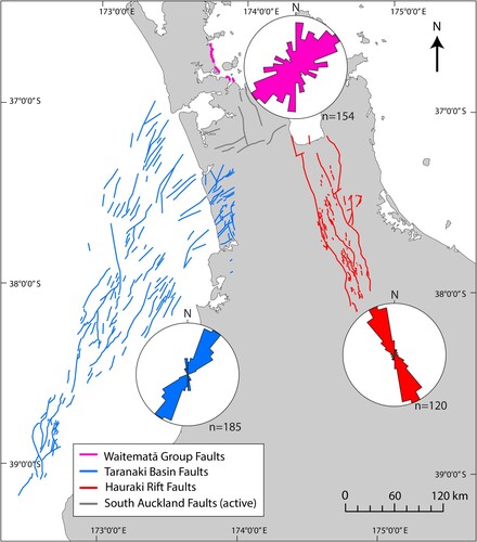 Figure 7. Regional synthesis map of selected North Island faults. Pink: Locations of Waitematā Group faults measured in this study, with a mean strike of 043°. Blue: Taranaki Faults from Giba et al. (Citation2010) in central to northern regions of the basin that were active from 12–4 Ma, with a mean strike of 033°. Red: Haruaki Rift Faults from Persaud et al. (Citation2016), which have a mean strike of 156°. Active faults in the South Auckland region (Seebeck et al. Citation2023) are presented as dark grey lines.