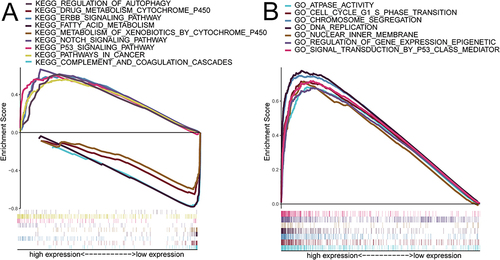 Figure 6 (A and B) The KEGG and GO function enrichment signaling pathways of the high- and low-RAD51AP1 expression subgroups in GSEA analysis based on the TCGA-HCC cohort.