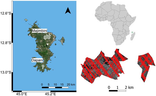 Figure 1. Location of the two study sites in Mayotte Island (ESRI Satellite®) and GEDI footprints over ALS canopy height.