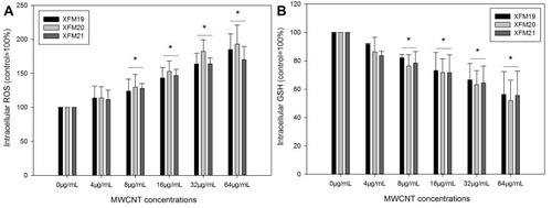 Figure 5 The changes of intracellular ROS (A) or GSH (B). HUVECs were exposed to various concentrations of pristine MWCNTs (XFM19), hydroxylated MWCNTs (XFM20) or carboxylated MWCNTs (XFM21) for 24 hrs, and intracellular ROS and GSH were determined by using a fluorescent probe. *p<0.01, compared with control.