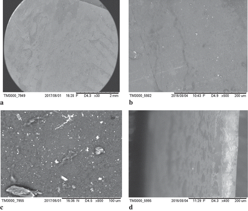 Figure 5. Microphotographs (a) of the surface of the buriti film and (b) surface of the biodegradable film of FG without addition of control oil, (c) cross section of the buriti film, (d) cross section of the FG film without addition of oil control.Figura 5. Microfotografías de la (a) superficie de la película de burití y la (b) superficie de la película biodegradable de la gelatina de pescado sin adicionar el aceite de control; (c) sección transversal de la película de burití, y (d) sección transversal de la película de gelatina de pescado sin adicionar el aceite de control.