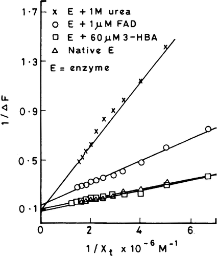 Figure 4 Double reciprocal plots for the observed changes in enzyme fluorescence with increasing concentrations of cibacron blue using native enzyme, FAD-enzyme, 3-HBA-enzyme and urea denatured enzyme.