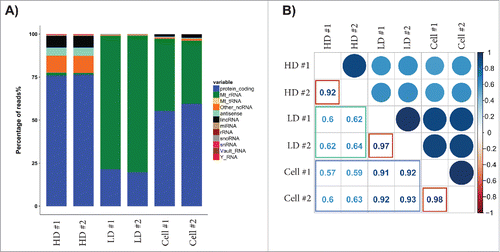 Figure 2. Next-generation sequencing analysis of the RNA content in the HD and LD fractions – long library. RNA was extracted from 2 biological replicates for the HD and LD fractions as well as the exRNA producing cells, and the RNA was used to construct long RNA libraries (Nugen Ovation V2) that was sequenced. (A) The graph shows the percentage of reads for each RNA biotype. (B) The correlation for the detected mRNA was determined with Pearson's test. The correlation between the biological replicates is indicated with red boxes, the correlation between the LD fractions or the HD fractions with the cellular mRNA is indicted with a blue box, and the correlation between the HD and LD fractions is indicated with a green box.