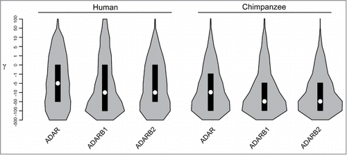 Figure 2. Analysis of selective pressure in the human and chimpanzee lineages. Violin plot of selection coefficients (median, white dot; interquartile range, black bar). Selection coefficients (γ) are classified as strongly beneficial (100, 50), moderately beneficial (10, 5), weakly beneficial (1), neutral (0), weakly deleterious (−1), moderately deleterious (−5, −10), strongly deleterious (−50, −100), and inviable (−500).