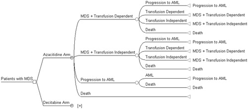 Figure 2.  Decision-tree diagram of model structure. This figure depicts the pathways that patients may take throughout the model. The square box indicates a decision node, meaning the model will compare both azacitidine and decitabine-treated patients. The circle with an M indicates a Markov node and signifies that patients can transition among the four health states of interest; each of which has its own branch in the decision tree. The health states are mutually exclusive and collectively exhaustive; in each model cycle, the probability of being in any one of the four states must add up to 100%. While the pathways are identical for patients treated with azacitidine and decitabine, the probabilities of being in the four health states will differ across the two treatments. An empty circle denotes a chance note, meaning that patients can transition from the health state to the left of the circle to any one of the health states to the right of the circle. The text to the right of the branches indicates the health state in which the patient begins the next model cycle.