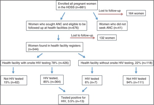 Fig. 1 Iganga-Mayuge Health and Demographic Surveillance Site – cohort of pregnant women.