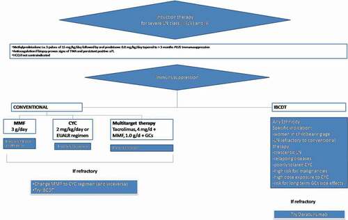 Figure 1. Suggestion of a therapeutic algorithm aiming to a more personalised approach for the management of lupus nephritis. Cyclophosphamide, CYC; mycophenolate mofetil, MMF; glucocorticoids, GCs, LN, lupus nephritis