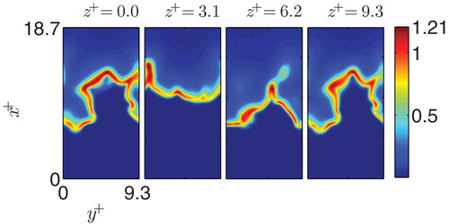 Figure 8 Contours of for case A at .