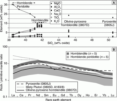 Figure 4  Whole rock geochemical data. A, Major element oxide (wt%) versus SiO2. Note trend in hornblende peridotite samples, clustering of hornblendite samples, except for the olivine-pyroxene hornblendite. B, Primitive mantle normalised REE diagram showing hump pattern for 11 samples of ultramafic rock from Hawes Head. The pyroxenite sample (0805J) has a distinct pattern. Note the Misty Pluton and all ultramafic samples from Hawes Head (except for pyroxenite sample 0805J) display depletion of heavy REEs.
