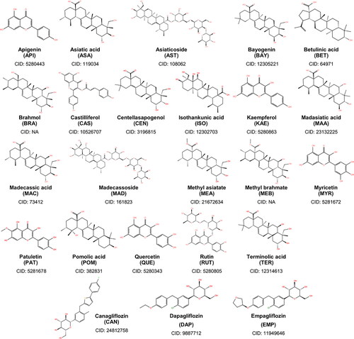 Figure 1. Two-dimensional structures of the 21 phytochemicals of Centella asiatica considered in this study. Also shown are the structures of canagliflozin, dapagliflozin, and empagliflozin – the known SGLT-2 inhibitors.