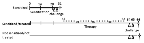 Figure 7. Experimental design. The study involved 5 groups of 6 mice, in particular (1) the naïve group that did not receive any treatment, (2) the sensitized group that was immunized with purified rBet v 1, and (3) 3 groups of “Sensitized/treated” that after the sensitization received one of 3 alternative treatments by oral gavage. In particular, ST group received 2 × 109 cfu of Streptococcus thermophilus the ST[rBet v 1] that received 2 × 109 cfu Streptococcus thermophilus expressing 2 µg rBet v 1, and the ST+rBet v 1 that received 2 × 109 cfu ST in association with 2 µg rBet v 1. Symbols indicate the treatment modality: vertical line, s.c. injection; triangle, aerosol; asterisk, intragastric gavage; cross, sacrifice; times sign, no treatment.