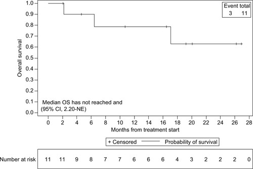 Figure 3 Kaplan–Meier estimates of OS for all patients.Abbreviation: OS, overall survival.