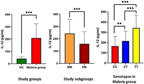 Figure 5 Serum levels of IL-12 in the studied groups and subgroups and in relation to Mal rs8177374 polymorphism in patients with malaria.