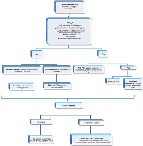 Figure 1 Management of PA VAP.Notes: Carbapenems are usually reserved for MDR or polymicrobial infections. Aminoglycosides should be avoided as monotherapy despite antimicrobial susceptibility given its poor performance in lung tissue. High-dose inhaled colistin: 5 million units every 8 hours.Abbreviations: COPD, chronic obstructive pulmonary disease; MDR, multidrug-resistant; PA, Pseudomonas aeruginosa; PK/PD, pharmacokinetic/pharmacodynamic; VAP, ventilator-associated pneumonia; XDR, extensively drug resistant; ICU, intensive care unit.