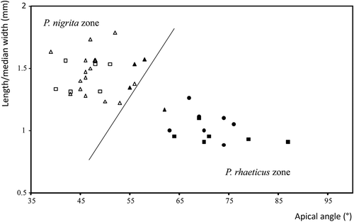 Figure 5. Male right parameres of Pterostichus rhaeticus and Pterostichus nigrita. Lengths over median width (mm) are plotted against the apical angle (°). Line that separates P. rhaeticus and P. nigrita zones and measurements are based on Luff (Citation1990). P. rhaeticus: Dubravica bog (black circle), Đon močvar bog (black square), Jarak fen (black triangle); P. nigrita: Jarak fen (white triangle), Đon močvar bog (white square).