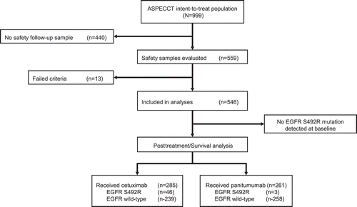 Figure 2. Patient disposition