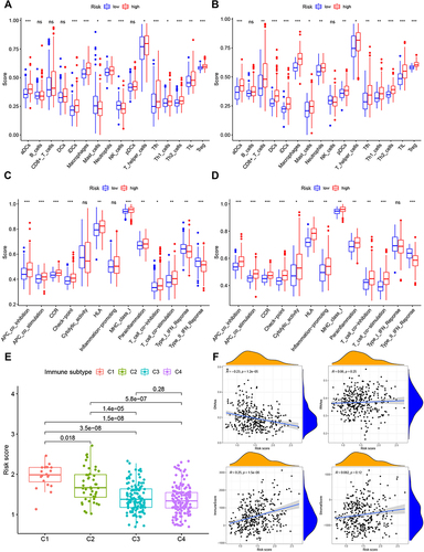 Figure 4 Immune status of high- and low-risk groups in TCGA (A and C) and ICGC (B and D) cohorts and association between tumor immune microenvironment and deference risk score in TCGA datasets (E and F). Boxplots of the score of 16 immune cell types (A and B) and 13 immunological functions (B and D) in the high- and low-risk groups. Red: high risk, blue: low risk, *P < 0.05, **P < 0.01, ***P < 0.001, ns, not significant. (E). Comparison of the risk score in different tumor infiltration subtypes. C1, wound healing, C2, INF-γ dominant, C3, inflammatory, and C4, lymphocyte-depleted. (F). Correlation analysis between the risk score and DNAss (DNA stemness score), RNAss (RNA stemness score), immune score and stromal score in TCGA data.