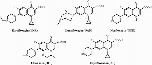 Figure 1. Structures of ENR and related fluoroquinolones evaluated in this study.