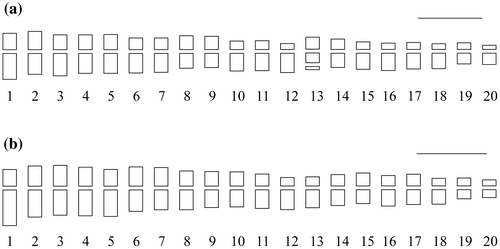 Figure 2. Ideograms of Barleria species: (a) B. lawii; (b) B. sepalosa. Scale bar = 5 μm.