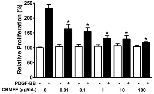 Figure 2. Effect of Chrysanthemum boreale Makino flower floral water on PDGF-BB stimulated proliferation in RASMCs. RASMCs were treated with or without steam-distilled floral water of Chrysanthemum boreale Makino flower (CBMFF: 0.01–100 μg/mL) and then stimulated by PDGF-BB (10 ng/mL) for 48 h. Cell proliferation was analyzed by performing the XTT assay. Cell proliferation in the quiescent state was expressed as 100% (n = 6). Each value is expressed as the mean ± SD. *p < 0.05 compared to the PDGF-BB-stimulated state by a two-way ANOVA.
