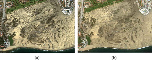 Figure 4. Worldview-2 color composite images (Red: band 5, Green: band 3 and Blue: band 2) for the central area of the natural reserve of maspalomas: (a) 17 january 2013 and (b) 4 june 2015.