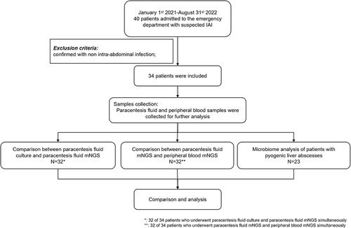 Figure 1 Flow chart of the study design.