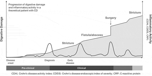 Figure 2. Progression of digestive disease damage and inflammation in a theoretical patient with Crohn’s disease [Citation20].CDAI, Crohn’s disease activity index; CDEIS, Crohn’s disease endoscopic index of severity; CRP, C-reactive protein