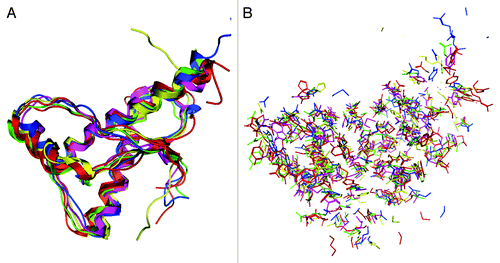 Figure 2. Superposition of the nuclear magnetic resonance (NMR) structures of 6 mammalian PrPs. The structures of backbone (A) and side chains (B) are illustrated: human (red), bovine (green), mouse (blue), hamster (purple), dog (yellow) and cat (orange).