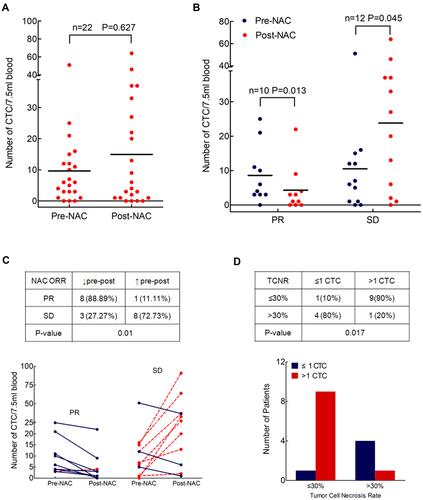 Figure 2 Changes of CTC counts before and after NAC and their correlation with therapeutic efficacy of NAC. (A) A slightly increased number of CTCs after NAC (n=22, Wilcoxon test, p=0.627). (B) In the number of CTCs a significant decrease in PR patients (n=10, Wilcoxon test p=0.013) and a significant increase in SD patients (n=12, Wilcoxon test p=0.045) were seen after NAC. (C) Changes of CTC counts after NAC were significantly correlated with radiological response by chest CT evaluation (n=20, Fisher’s exact test, p=0.01). (D) No more than 1 CTC detected post-NAC indicating a better pathological response with more than 30% of tumor cell necrosis rate (TCNR) in the resected specimen (n=15, Fisher’s exact test, p=0.017).